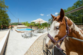 Holiday home with swimming pool, donkeys and horses